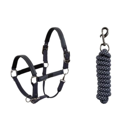 Cabezada + Ramal BR Halter
